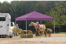 Shelter Logic 12x12 ST Pop-up Canopy, Purple Cover, Black Roller Bag