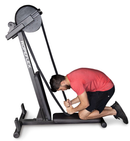 Ropeflex RX2300 Dual Rope Pulling Resistance Trainer Machine