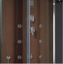 Platinum DZ956F8 2 Person Steam Shower-Brown