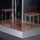 Platinum DZ961F8-R  2 Person Steam Shower-Black