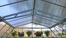 Palram – Canopia Americana 12' x 12' Greenhouse