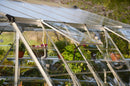 Palram – Canopia Americana 12' x 12' Greenhouse
