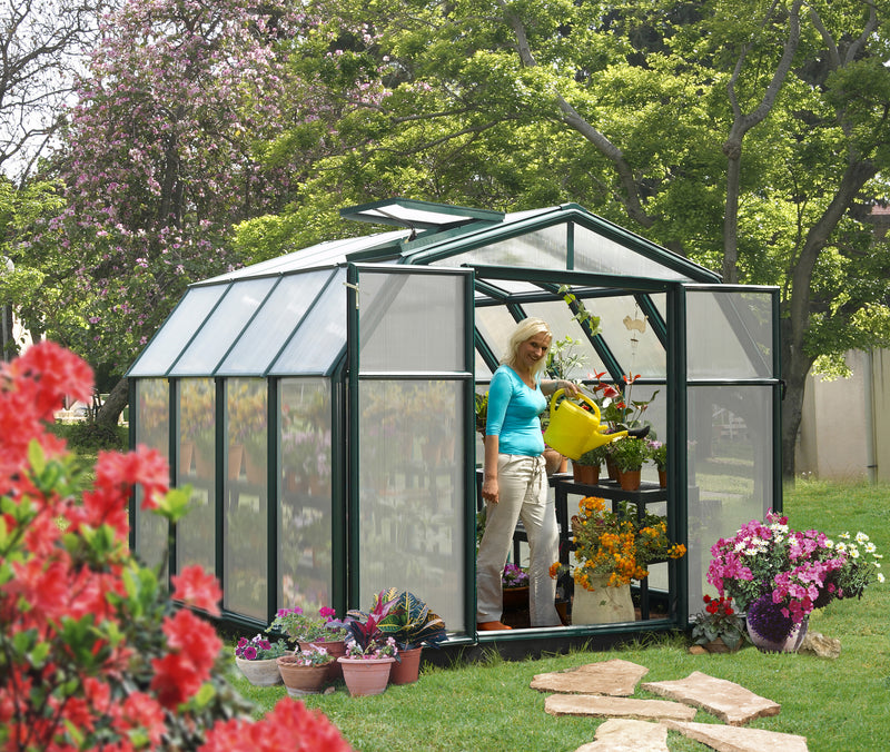 Palram – Canopia Hobby Gardener 8' x 8' Greenhouse