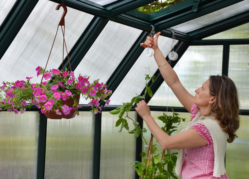 Palram – Canopia Hobby Gardener 8' x 20' Greenhouse
