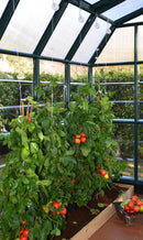 Palram – Canopia Prestige 2 Clear 8' x 8' Greenhouse