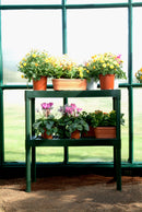 Palram – Canopia Prestige 8' x 12' Greenhouse