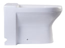 EAGO USA EAGO JA1010 White Ceramic Bathroom Bidet with Elongated Seat