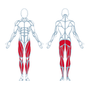 Keiser A300 Runner Strength Training Machine