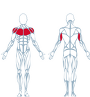 Keiser A250 ARM CURL, Model 001721BP