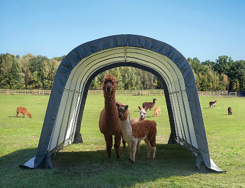 Shelter Logic 12x20x8 Run-in Shed-in-a-Box