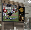 MIRAGE VISION Hi-Bright The Terrace Pro by Samsung  55" Mirage Vision TVs