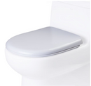 EAGO USA EAGO R-351SEAT Replacement Soft Closing Toilet Seat for TB351