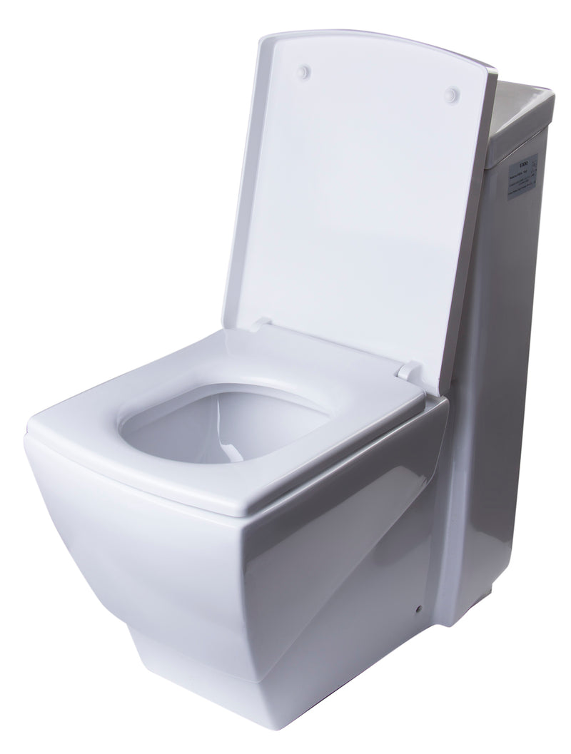 EAGO USA EAGO TB336 Modern One Piece High Efficiency Low Flush Eco Friendly Toilet