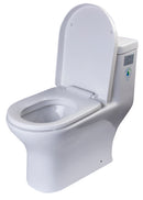 EAGO USA EAGO TB353 One Piece Dual High Efficiency Low Flush Eco-Friendly Toilet