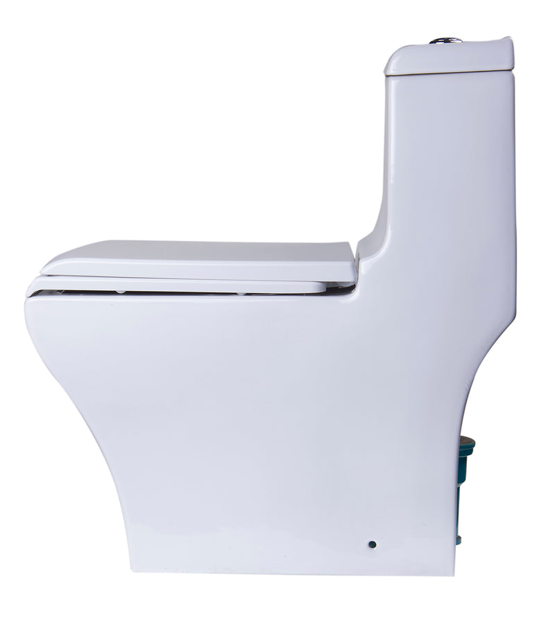 EAGO USA EAGO TB356 White Dual Flush High Efficiency Low Flush Eco-Friendly Toilet