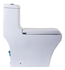 EAGO USA EAGO TB356 White Dual Flush High Efficiency Low Flush Eco-Friendly Toilet