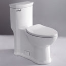 EAGO USA EAGO TB364 ADA Compliant High Efficiency One Piece Single Flush Toilet