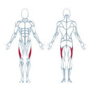 Keiser A300 Hip Abductor Strength Machine