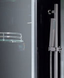 Platinum DZ961F8-R  2 Person Steam Shower-Black