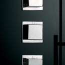 Platinum DZ972F8 2 Person Steam Shower-Black