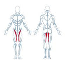 Keiser A300 HIP ADDUCTOR Model 2431