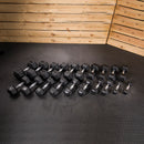 Lifeline Hex Rubber Dumbbell Fitness Training Weight Set
