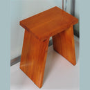 Athena WS-112, 2 Person Walk In Steam Shower-White